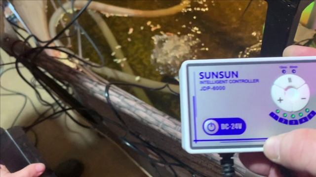 Конец осетра.Все погибли. смотреть онлайн