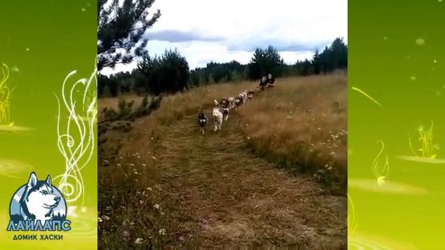 Картинг в Литвиново, лето 2021