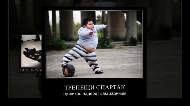 #1 самые смешные фотографии | Science Facts смотреть онлайн