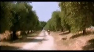 Прикол. Как по яйцам осла определить время.Funny. How to verify time with donkey testicles.