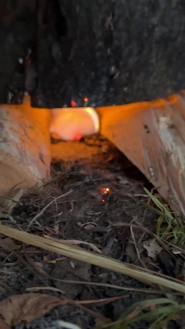 Собираетесь на природу? Берите на заметку! смотреть онлайн