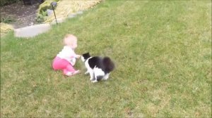 Дети и коти. Подборка видео смешных моментов с детьми и котиками, кошками, котятами