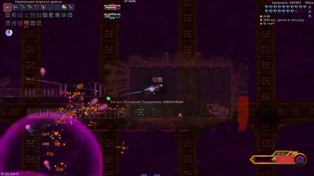 Сигнус | Calamity Infernum 1.9