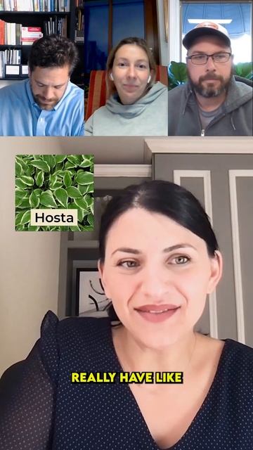 Edible Plants: You Can Eat Hostas? смотреть онлайн