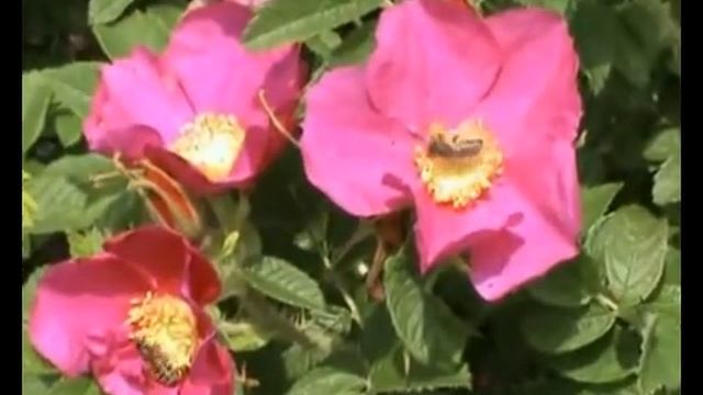 Я хочу бути з тобою