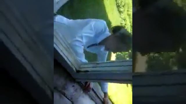 Выпрыгнула из окна смотреть онлайн