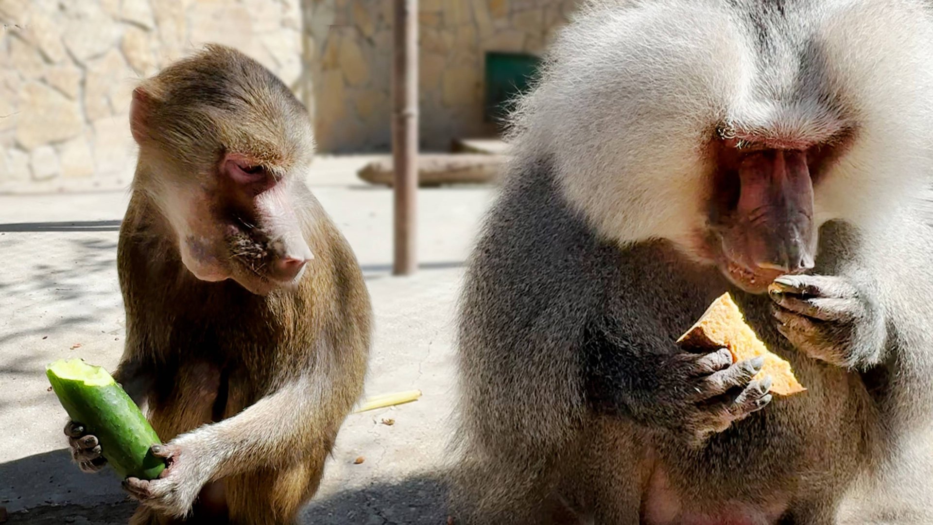 Всем переживающим обязательно к просмотру! В гостях у Лиды и Елисея - наблюдаем за развитием событий смотреть онлайн