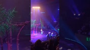 Цирк в Новосибирске. Бурлеск шоу Королевский цирк Гии Эрадзе.