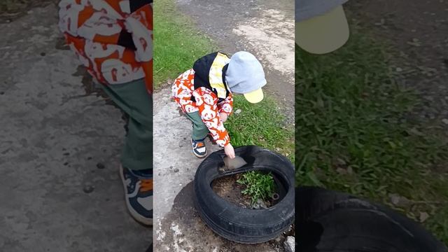 Мегалаборатория