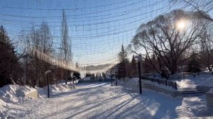 АСД 2 ФРАКЦИЯ для собак. Ничего не помогало, пока не стали принимать АСД