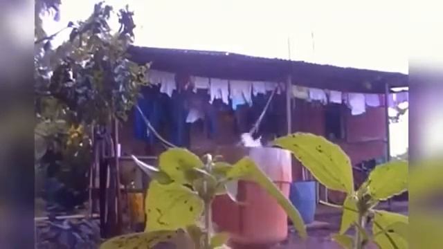 ПРИКОЛЫ 2018. Ржу не могу.🤣🤣😂😂 смотреть онлайн