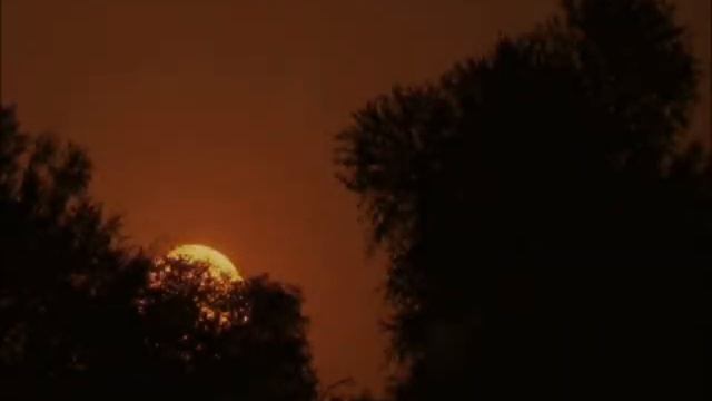 Дэймон и Елена. Я могу тебя долго ждать.avi смотреть онлайн