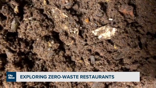 Exploring zero-waste restaurants смотреть онлайн