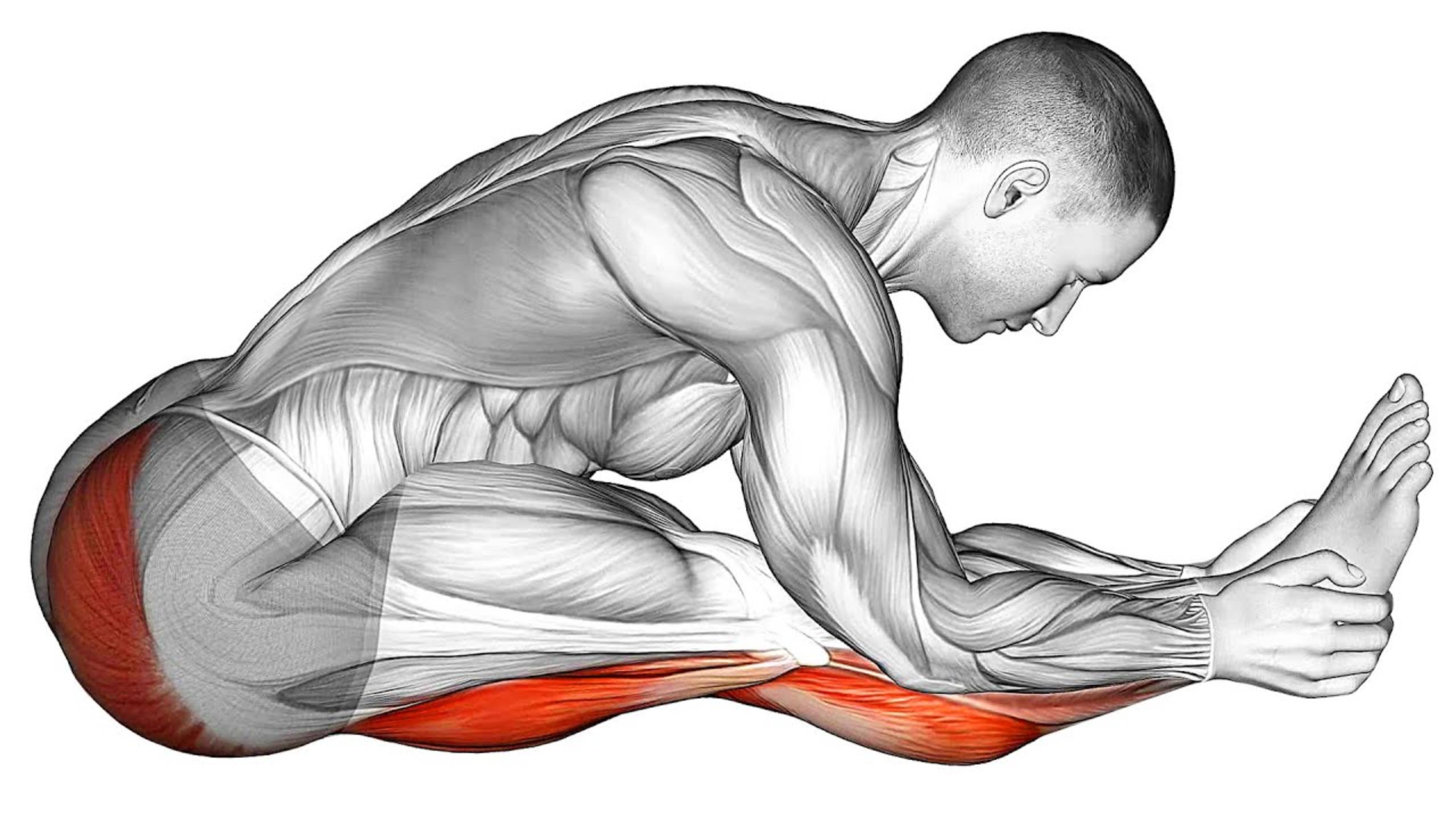 Лучшие Упражнения для Разминки НОГ смотреть онлайн