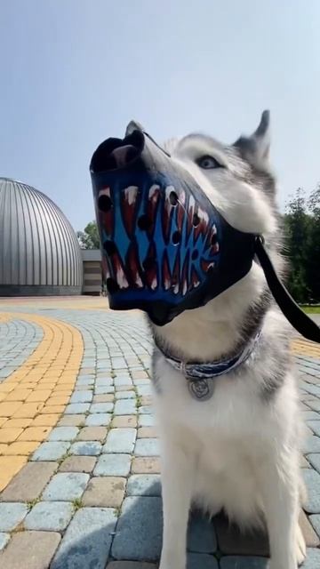 17 апреля 2023 г. смотреть онлайн