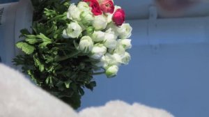 с днем рождения мальчик Саша !