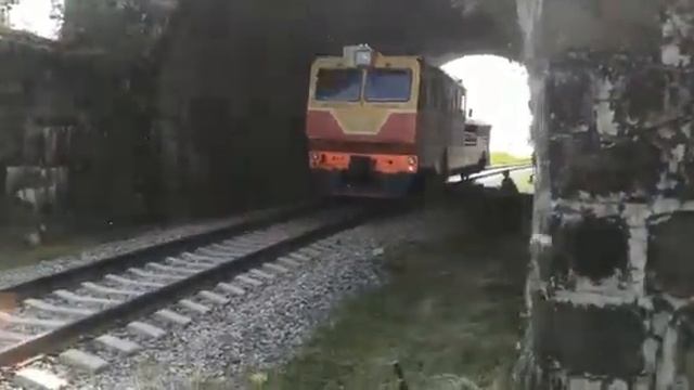 асг30п-118 (автомотриса служебно грузовая)