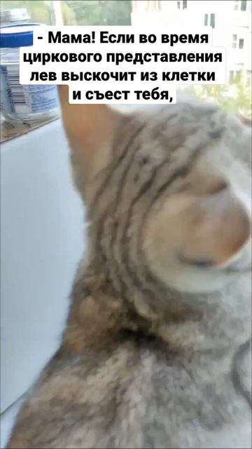 Цирк (анекдот) смотреть онлайн