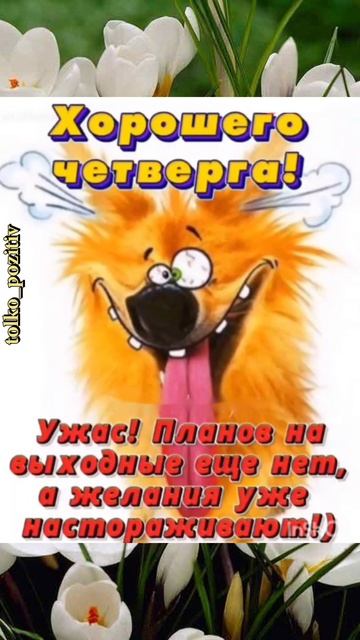 С добрым утром четверга! смотреть онлайн