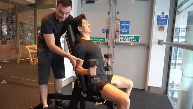 INCLINE HAMMER CURL TUTORIAL - DMPT смотреть онлайн
