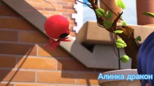 Леди баг и супер кот приколы 12