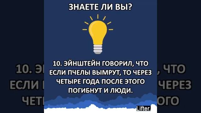 Правила из жизни смотреть онлайн
