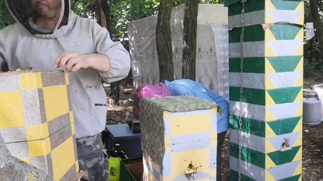 ОТКАЧКА МЕДА С УЛЬЕВ РОЖЕ ДЕЛОНА. смотреть онлайн