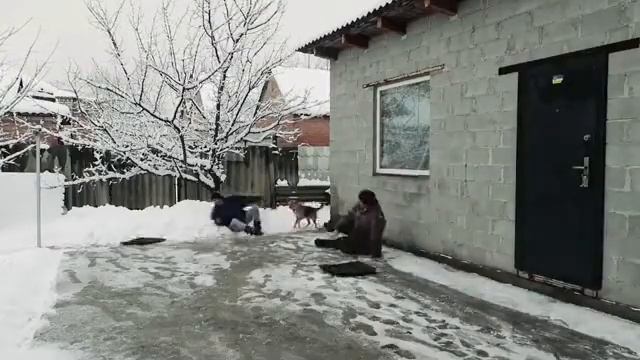 Первый снег смотреть онлайн