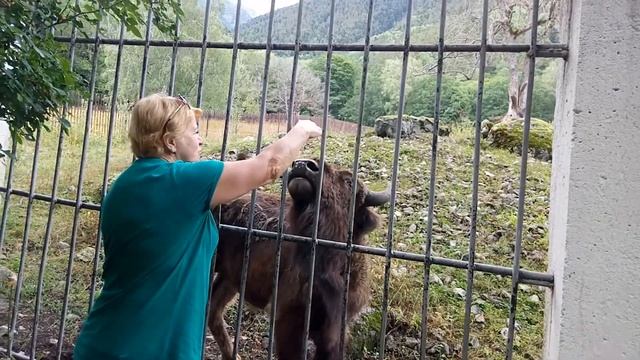 Северный кавказ Тиберда ч 2 смотреть онлайн