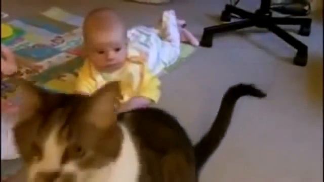 Приколы с детьми и котами Смешные дети и кошки 2017 – Коты впервые видят детишек смотреть онлайн