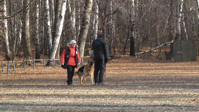 "Кубок Сокольников - 2014" смотреть онлайн