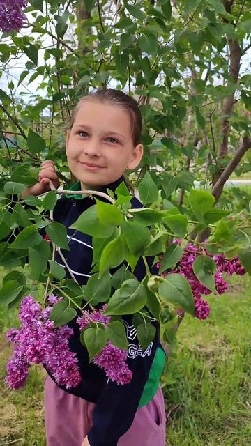 Следующая остановка МАЙ 🌿 смотреть онлайн