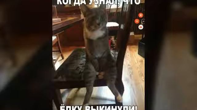 Школа? Не, не слышали! Фотки с приколами!😇 смотреть онлайн