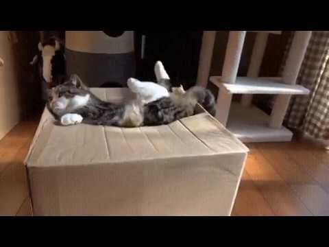 Как изящно уйти от ответа на неловкий вопрос