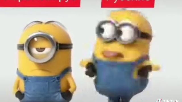 Смешное видео из тик ток смотреть онлайн
