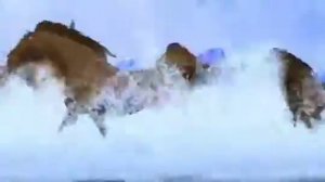 Далеко Далеко Детская песенка про молодую лошадь