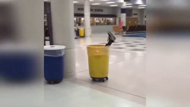 Смешное видео. Приколы. Прикольное видео. Нелепые случайности. Сборка приколов 2018 смотреть онлайн