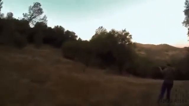 Охота Приколы 2017 смотреть онлайн