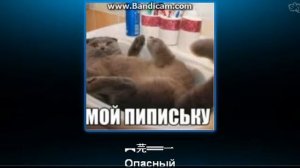 Поляк поёт что он пидр