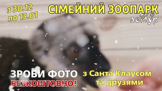 Экзотичний Новий Рiк смотреть онлайн