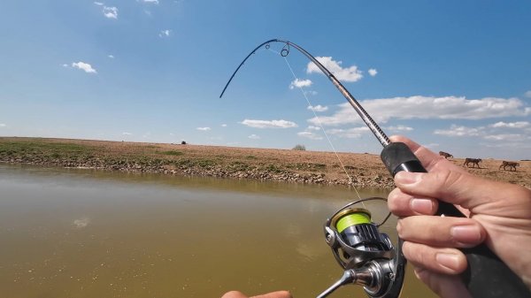 КАК ТЕБЯ ОСТАНОВИТЬ? ВОТ ЭТО ПОЛОВИЛ РЫБКИ НА КАНАЛЕ