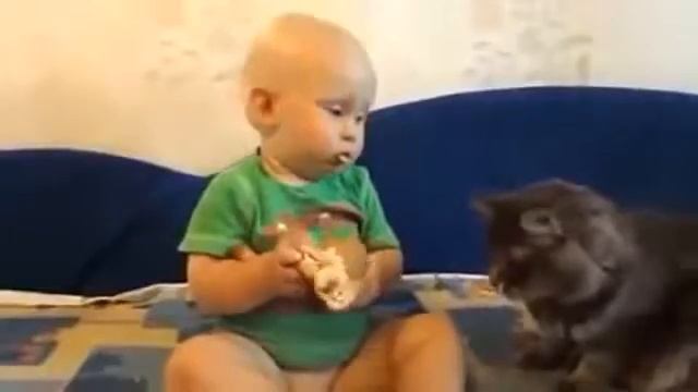 Самые лучшие приколы про животных 2016г смех до упаду смотреть онлайн