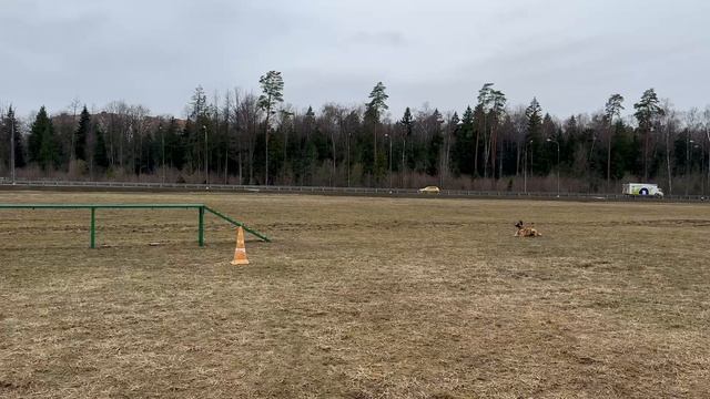 АЛИСА, связка из трех снарядов