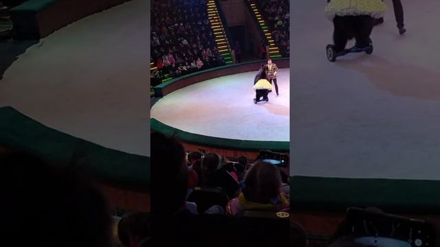 Моя первоя поездка в Минский Цирк смотреть онлайн