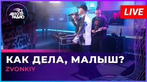 Zvonkiy - Как Дела, Малыш? (LIVE @ Авторадио)