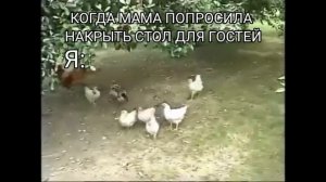 Муд | Абхазкий Малахов | Приколы. | Мама меня отправила кормить курей.