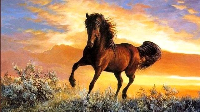 Сяду на коня - Володимир Вєчкутов ( вокал ), Іван Яцик Yan Rozdolskiy ( бек вокал ). смотреть онлайн