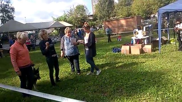 ВЕО ВИВАТ ТРОЯ Выставка 3 сентября 2016 смотреть онлайн