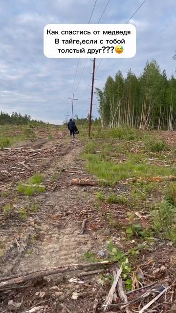 Как спастись от медведя?😅 #лайфхак #приколы #юмор смотреть онлайн