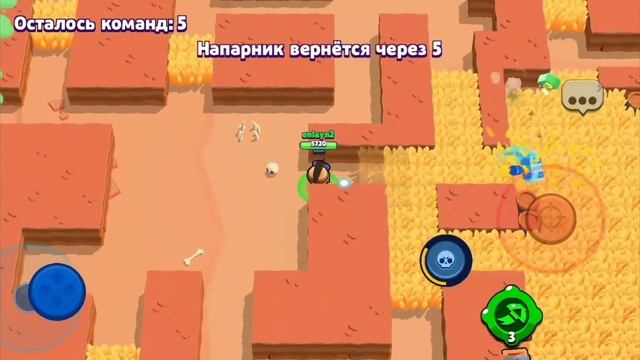 Всадник На Кабане Карл💗🔥⚡ смотреть онлайн